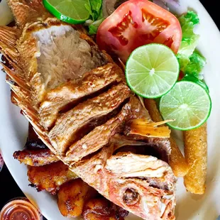 Red Snapper