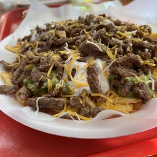 Carne Asada Fries