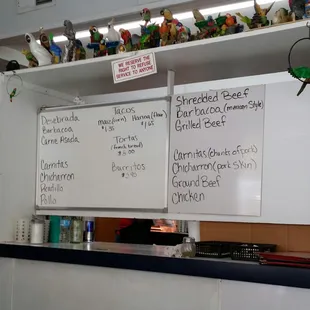 a whiteboard with a bunch of birds on it