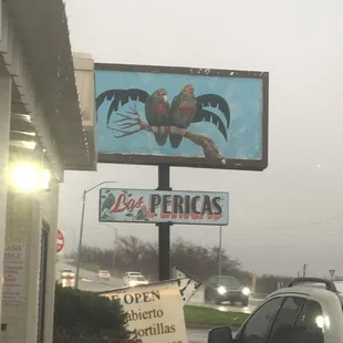 Look for the Parrots!!