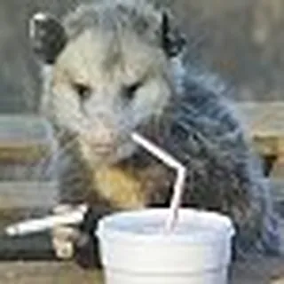 TexasPossum T.