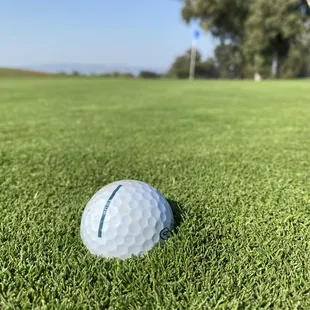 Waterbeds for greens.