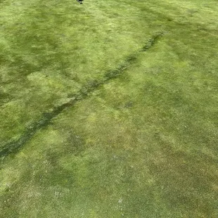 A big indentation runs across the green