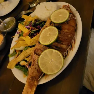 Whole red snapper