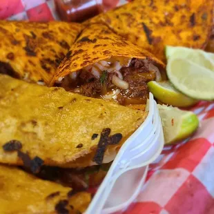 Tapia tacos &amp; monster quesadilla