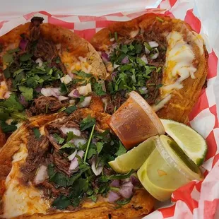 Tapia Tacos