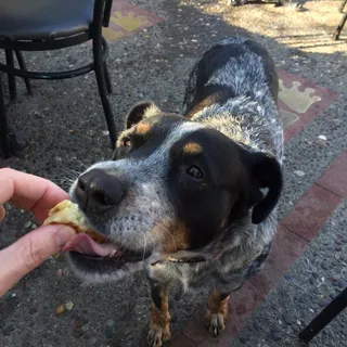 R V.