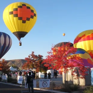 There they go... up up and away !