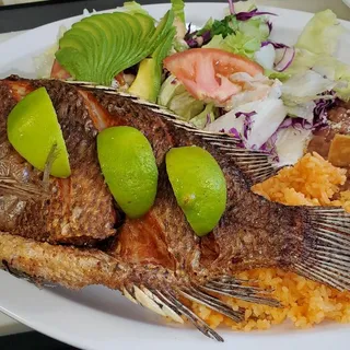 Mojarra Plate