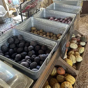 a variety of fruits and vegetables