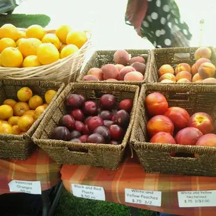 Stone fruits and citrus