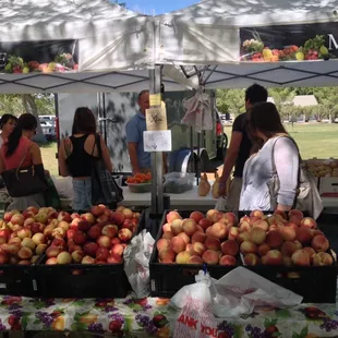 "Millions of peaches, peaches for free"