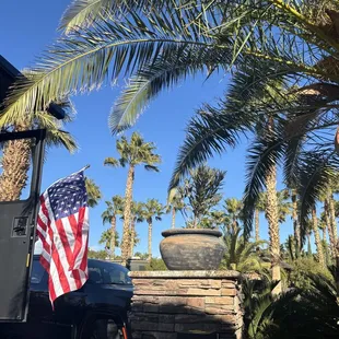 Sunny skies and swaying palm trees.