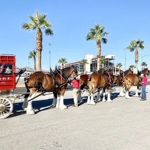 @ Las Vegas Motor Speedway - 10/14/22