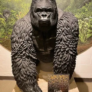 Gorilla - Africa Exhibit