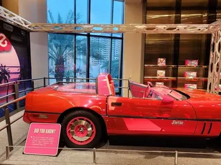 Barbie Exhibition