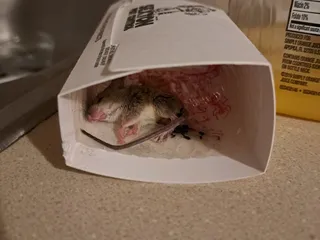 CentrePoint Apartments