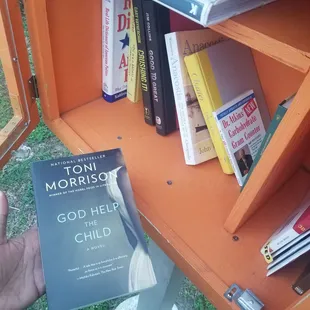 30Nov books in the Little Library