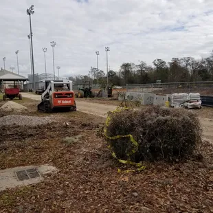 Digging up old field