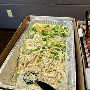 Catering tray Fettuccine Alfredo