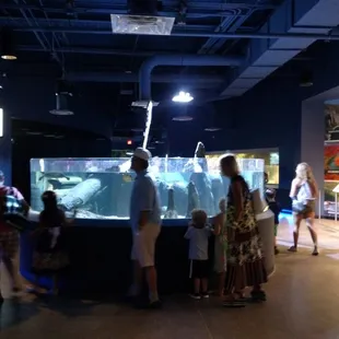 Ooooh awwww!! Fishys