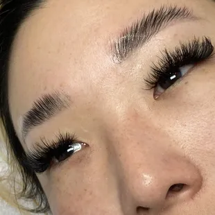 Volume and brow lamination