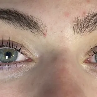 Lash lift/tint