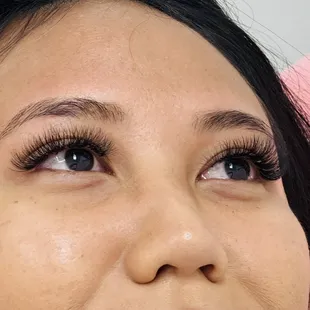 Squirrel Eye ( soft Cat Eye ) with D curl !!