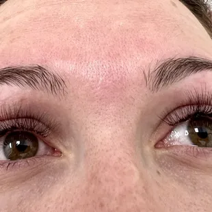 Soft Volumes with CC curl