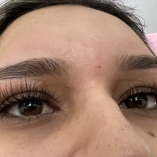 $65 + 10 D Mink Lashes