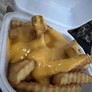 Cheese Fries