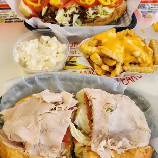 Lunch: cheesesteak, potato salad, cheese fries &amp; turkey &amp; cheese hoagie.