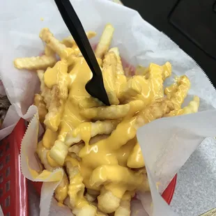 Cheese fries