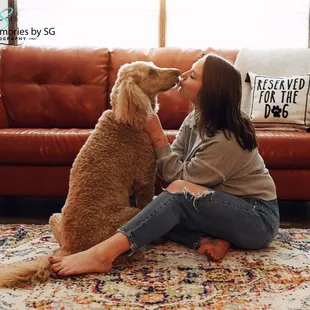 Four-legged friend photography