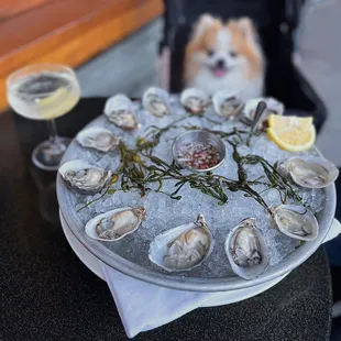 $2 Oysters ALL night!