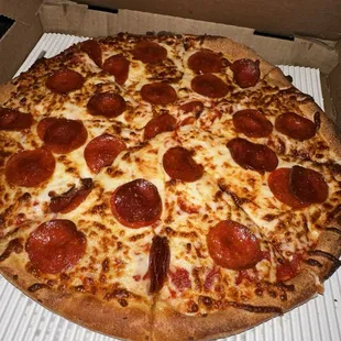 14" Large Pizza wrong pizza