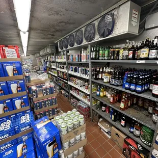shelves of beer