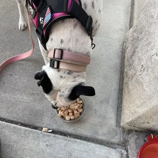 River ordered chicken and rice bowl for her birthday.