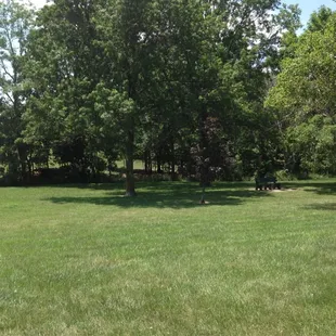Grass, benches, and - if you look closely - cows