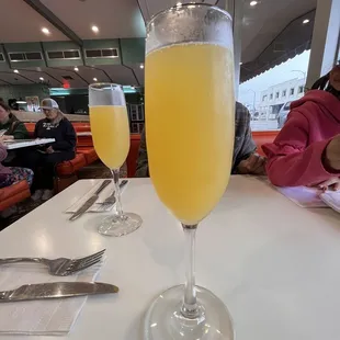 Mimosas  great strength