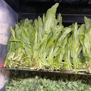 Produce