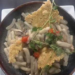 Wild mushroom cavetelli
