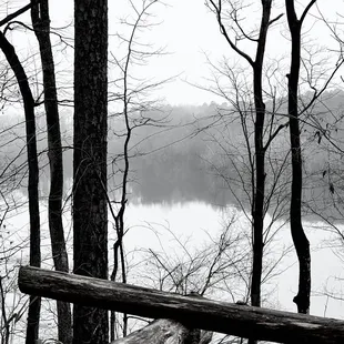 Buzzard Rock