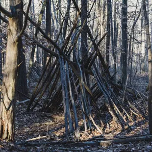 Stick shelter
