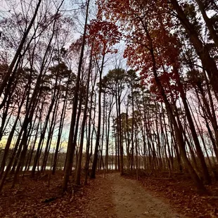 Golden hour on the Buzzard Rock trail