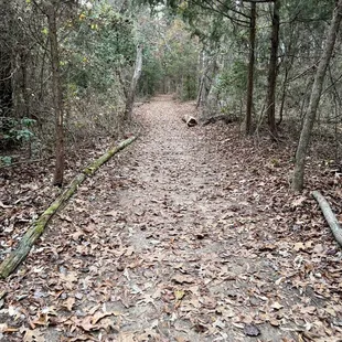 Waterfront trail