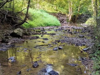 Idlewild Road Park