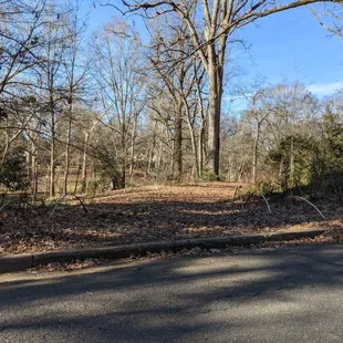 Latta Park, Charlotte