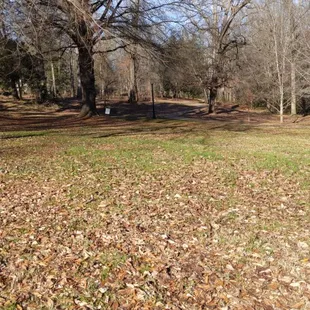 Latta Park, Charlotte