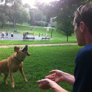 Latta Park Picnic